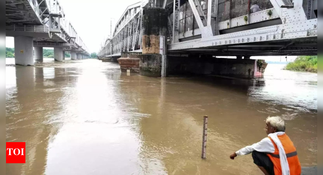 Yamuna 1m over danger mark, 10,000 displaced