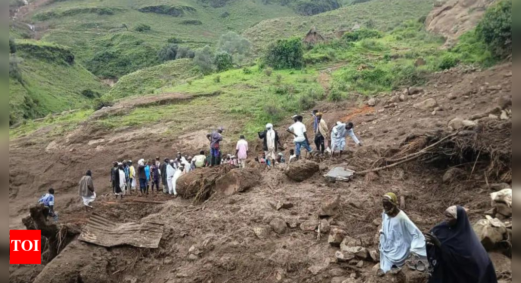 Sudan appeals for aid after landslide kills more than 1,000 people in single village in Darfur Sudan appeals for aid after landslide kills more than 1,000 people in single village in Darfur