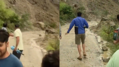  61-year-old man suffers head, leg injuries in Almora
