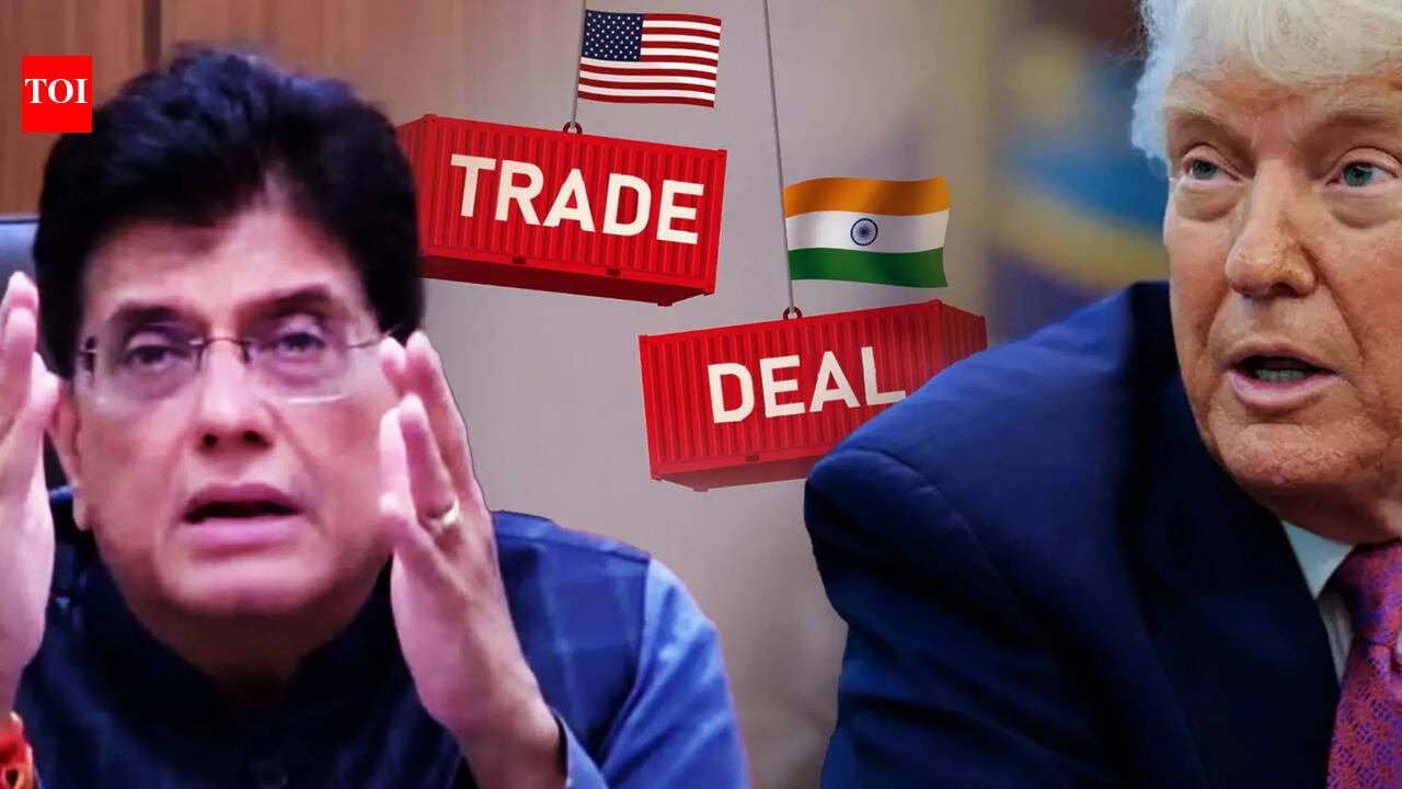 Union Minister Piyush Goyal Eyes India-US Trade Deal By November ...
