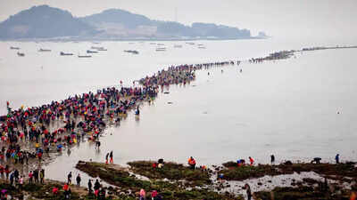 This island in South Korea reveals a secret sea road—and you can walk across it once a year; here’s when and how to experience the ‘Miracle of Moses’