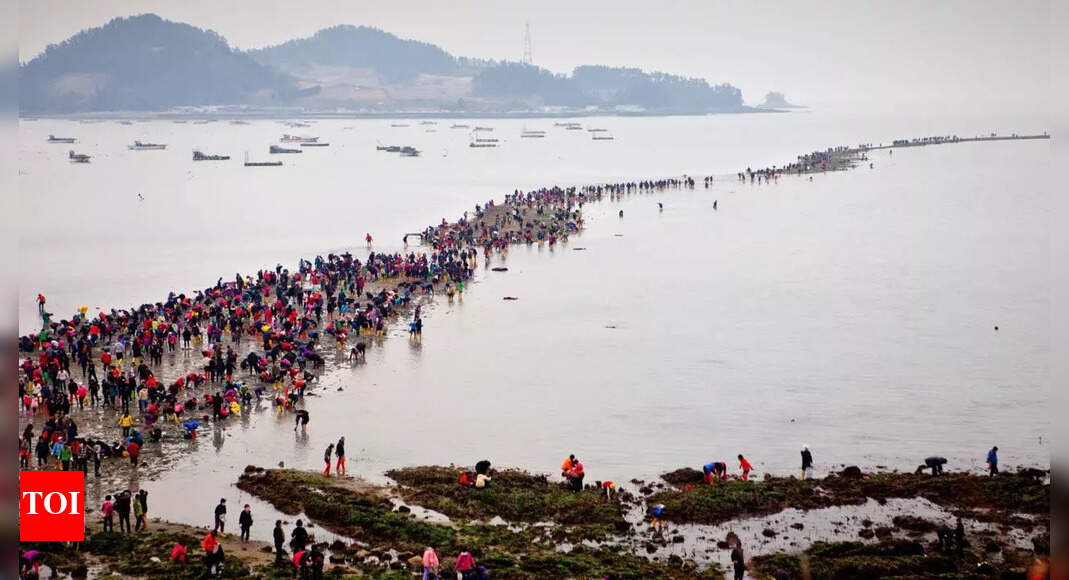 This island in South Korea reveals a secret sea road—and you can walk across it once a year; here’s when and how to experience the ‘Miracle of Moses’