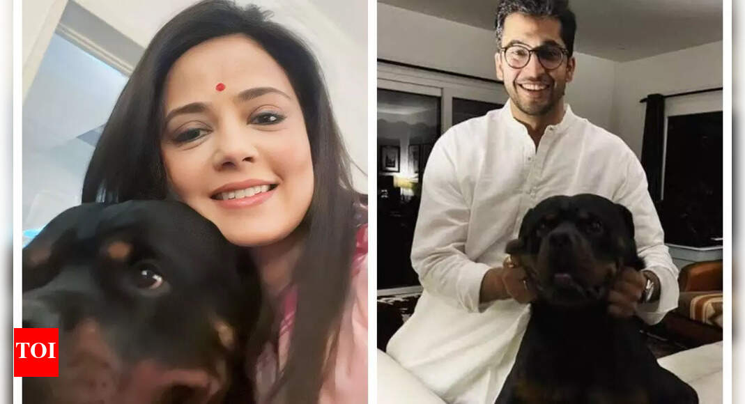 <div>Mahua Moitra vs Jai Dehadrai over pet Henry: Why don't you sit together and sort it out, asks Delhi HC</div>