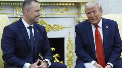 'First time in history': Trump offers more US military presence in Poland; calls conflict in Ukraine 'stupid war'