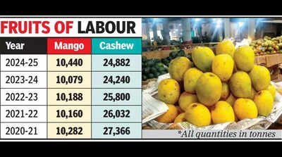 Marginal rise in mango and cashew output in Goa amid climate challenges