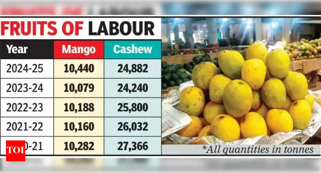 Marginal rise in mango and cashew output in Goa amid climate challenges