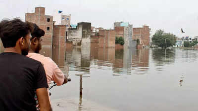  Yamuna swallows homes inch by inch