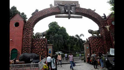Disputes in animal sourcing, transfer, record-keeping at Alipore Zoo, reveals CZA probe