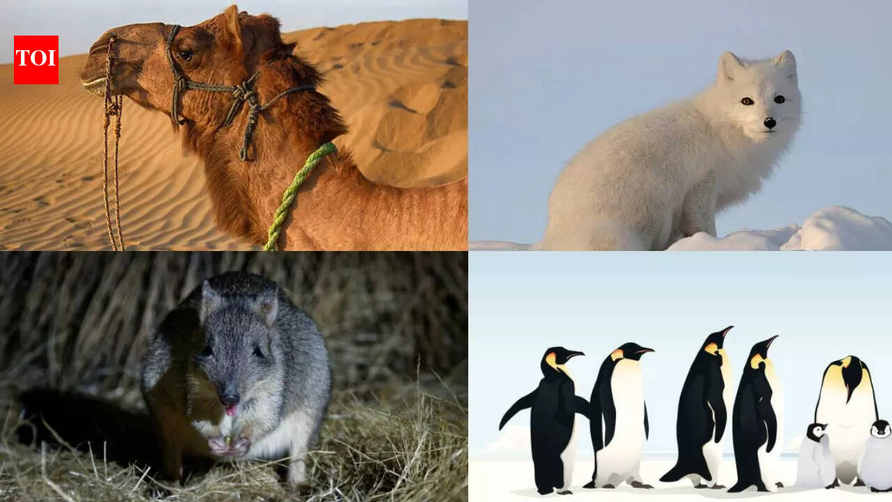 5 animals that thrive in extreme conditions and how