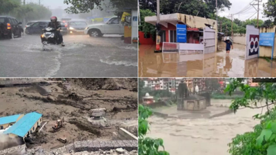 'पेड़ों की अवैध फेलिंग': एससी विभिन्न राज्यों में भूस्खलन, बाढ़ पर ध्यान देता है; केंद्र को नोटिस नोटिस