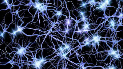  Top scientists working on turning bacteria into powerful computers!