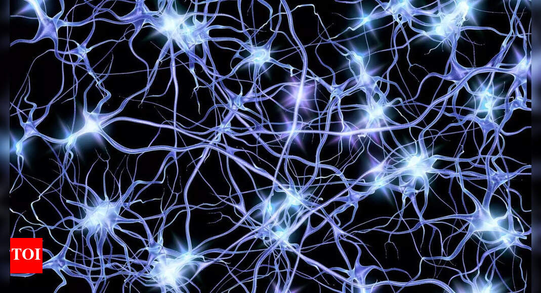 A futuristic world: Top scientists working on turning bacteria into powerful computers!