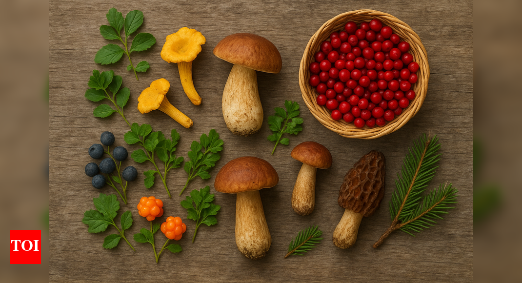 Nordic Foraging: How nature shapes the New Nordic cuisine