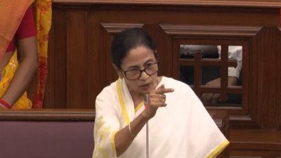 Ruckus in Bengal assembly as Marshalls drag out BJP chief whip; Mamata Banerjee raises 'vote chor' slogans - watch
