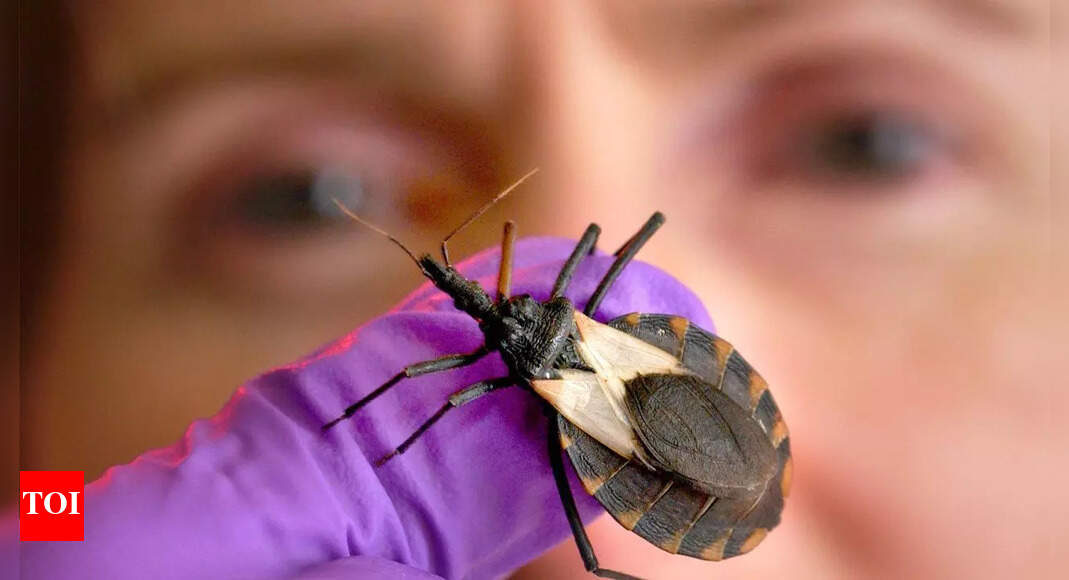 ‘Kissing bugs’ spreading Chagas disease in the US: Causes, symptoms, and early treatment options |