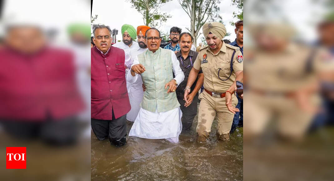 Khudian accompanies agri min Shivraj Chouhan, seeks immediate relief from Centre | Chandigarh News  timesofindia.indiatimes.com