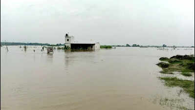 Yamuna 2m above danger mark in Loni, gulps 142 hectares of farmland