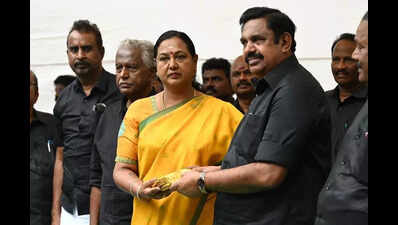 Premalatha denies remarks on EPS | Chennai News - The Times of India
