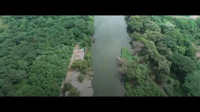 SC panel to Maha chief secy: Tell PMC, PCMC to halt proposed tree felling for RFD in riparian zones