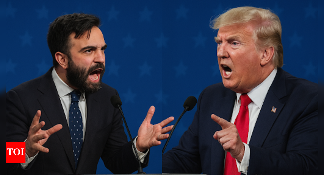 'Cut out the middle man': Zohran Mamdani challenges Trump to televised debate; accuses him of meddling in NYC mayoral race