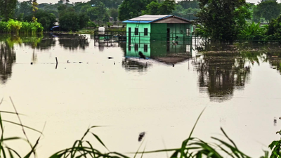  Yamuna floodwaters swamp Noida’s luxury farmhouses; pools, lawns, banquet halls submerged