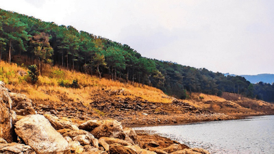 Does North-East hold key to India’s clean energy future? Over 70 million tonnes of untapped minerals and rare earths in region that can drive strategic, economic, and clean energy goals