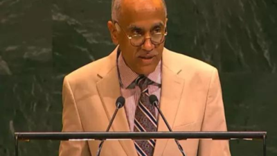 'No solution on battlefield': India raises Ukraine conflict at UN; points to 'collateral consequences'