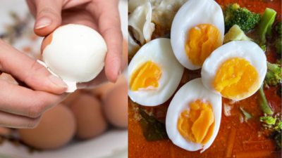  Which offers more protein and how