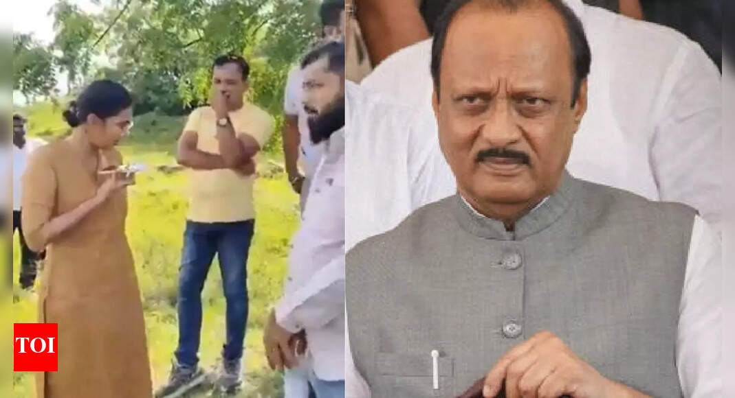 <div>'Highest respect for police force': Ajit Pawar on 'rebuking' women IPS officer; clarifies 'intention'</div>