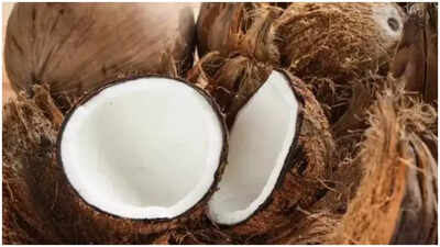 Coconut prices shoot up in south amid Onam, Ganesh Chaturthi celebrations