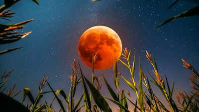  What is the corn moon? All about visibility and timings of the celestial wonder