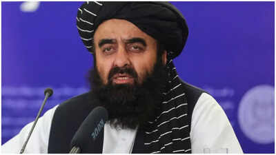 India visit of Taliban minister runs into travel waiver trouble