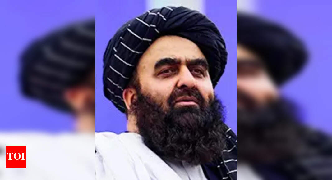 India visit of Taliban minister runs into travel waiver trouble