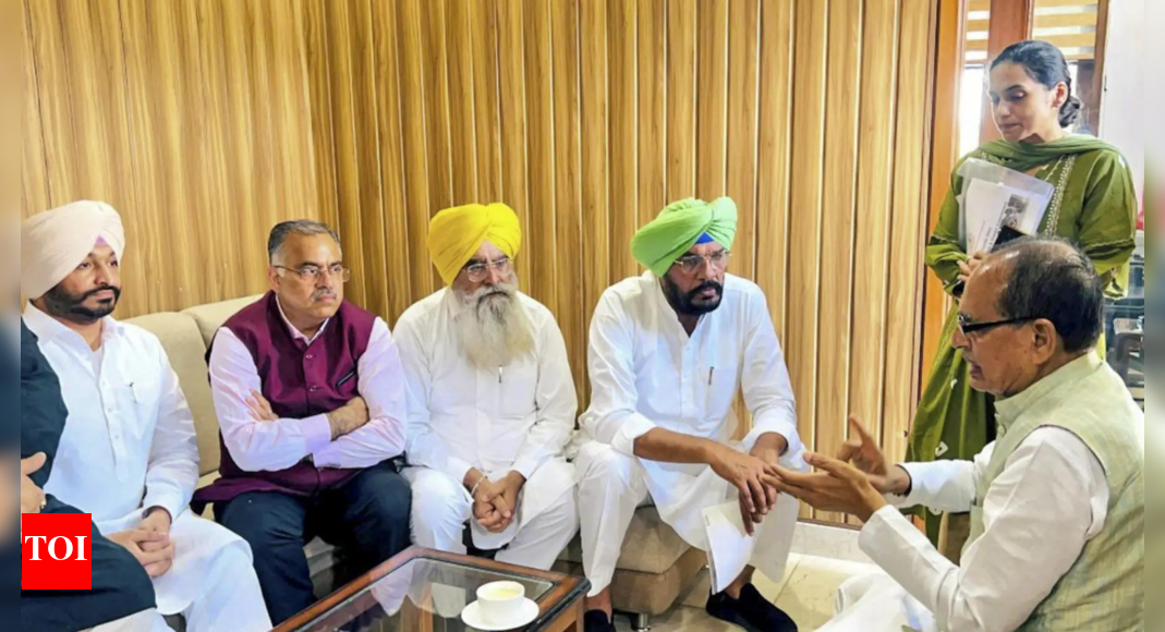 Illegal mining triggers flood fury in Punjab: Shivraj Singh Chouhan Illegal mining triggers flood fury in Punjab: Shivraj Singh Chouhan
