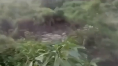 Himachal Pradesh landslide: Massive section of hill collapses near Chaukar village — watch