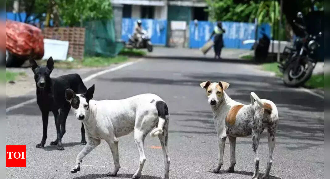 Tragic Death of 13-Year-Old Girl Due to Stray Dog Attack in Madhya ...