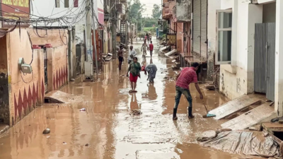 Flood: Patiala boy dies after drowning in Ambala, missing man found dead, two brick kiln labourers washed away
