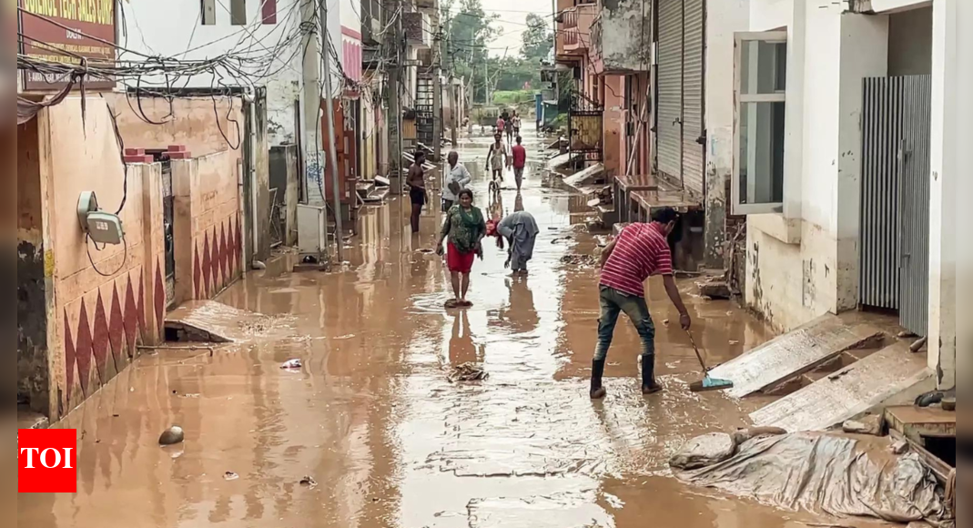 Flood: Patiala boy dies after drowning in Ambala, missing man found dead, two brick kiln labourers washed away