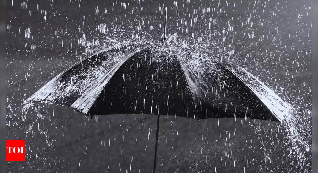 Gujarat Set for Heavy Rainfall as IMD Forecasts Depression and Multi-Hazard Weather post image