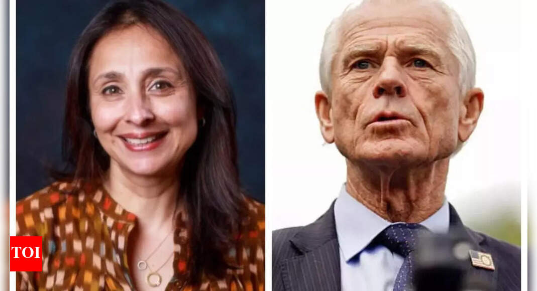 <div>'False villainization': Hindu American Foundation director speaks up on Peter Navarro's 'Brahmin' attack</div>