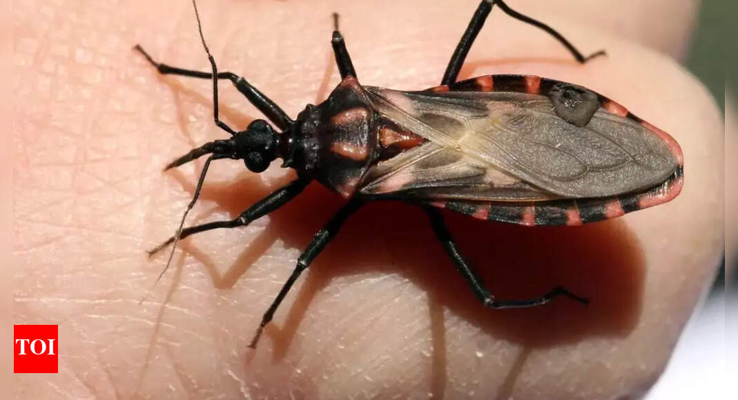 Deadly ‘Kissing Bugs’ spreading across US; Which states are affected and how to protect yourself from Chagas disease?