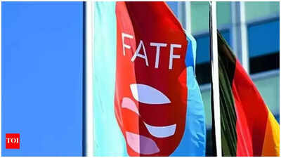 FATF lauds work of MHA's portal for international cooperation