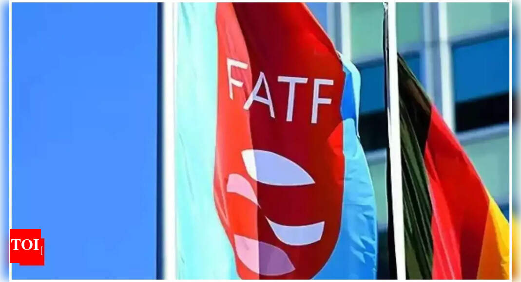 FATF lauds work of MHA's portal for international cooperation