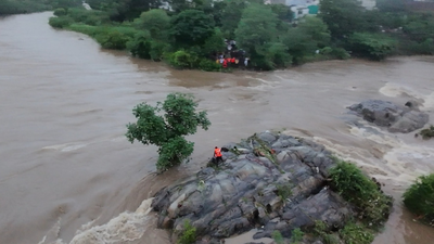 Rajasthan: Indian Army uses drone to rescue man trapped in Ayad River - watch