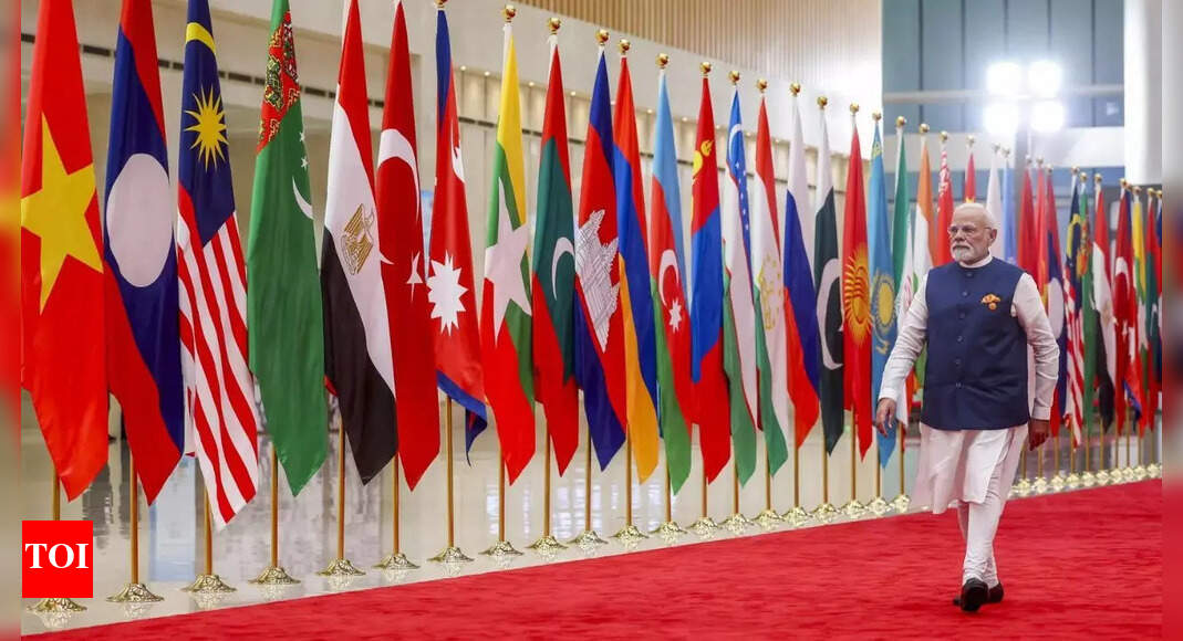 SCO trade ministers’ meet: India cautions against weaponising export measures; reaffirms WTO-centred fair trade system – The Times of India