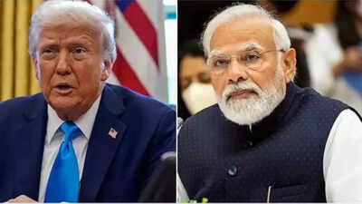 'Trump realised India won't surrender': Ex-envoy on US President's softened tone; takes 'Triple-T' dig