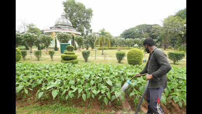 Dasara flower show to showcase floral replica of Sabarmati Ashram