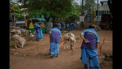 Pourakarmikas celebrate regularisation in Bengaluru, vow to fight for drivers & loaders
