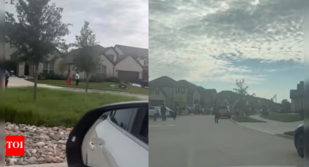 <div>Want kids to grow up in US. Not India: Viral rant in Texas stokes anti-immigrant sentiment online</div> <div>'Want kids to grow up in US. Not India': Viral rant in Texas stokes anti-immigrant sentiment online</div>