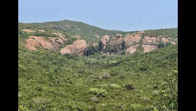 More hotels to serve trekkers near Gudiyam Caves soon